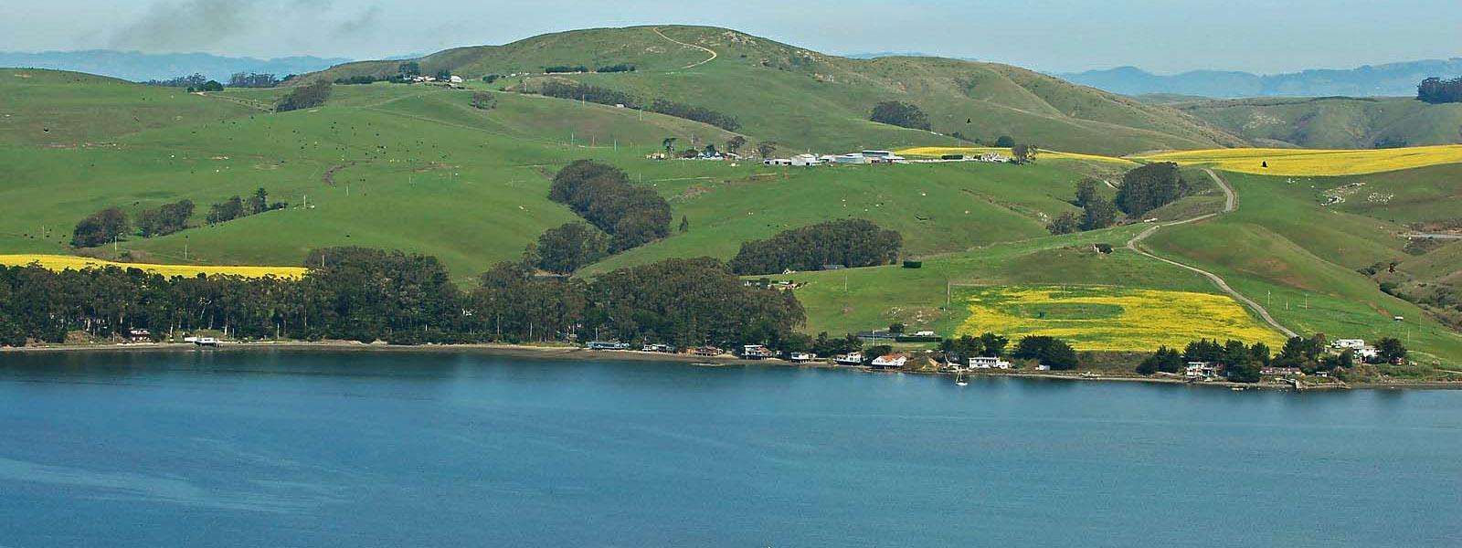 Tomales Bay Visit Novato