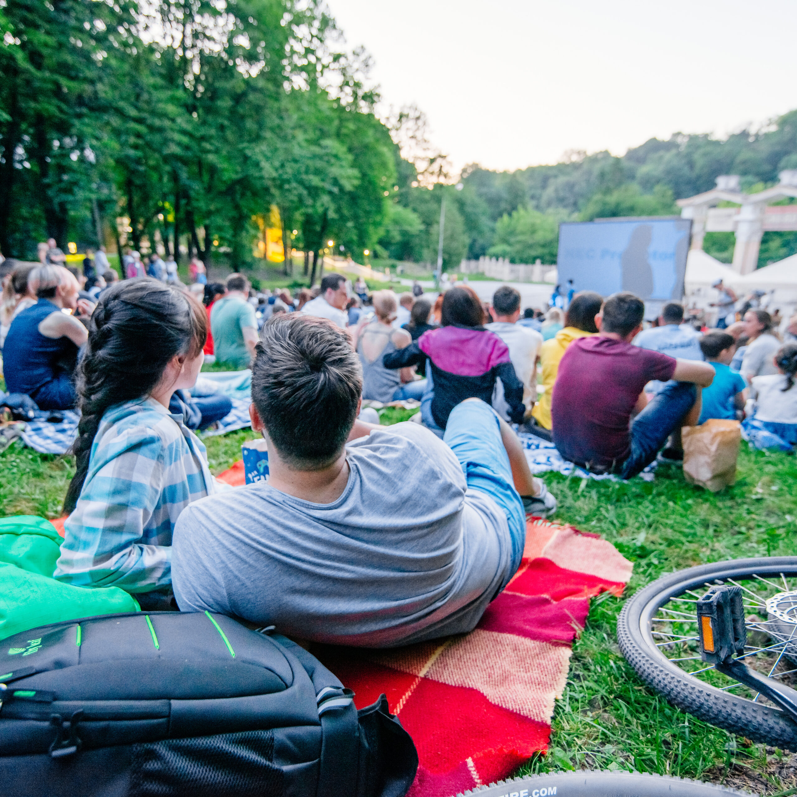 Movie in the Park Novato end of summer family series